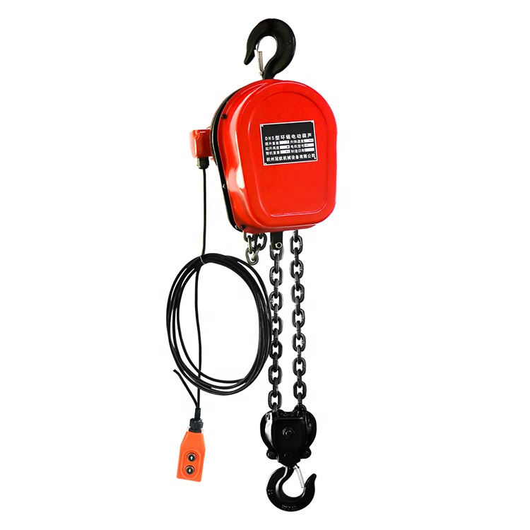1000kg Remote Control Mini Hoist Crane Electric Chain Winch for Garage Lifting